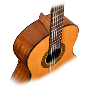 guitarcity-rosewood-fertbord