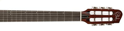 GODIN-MULTIAC-SPECTRUM-SA-ACOUSTIC-GUITARCITY