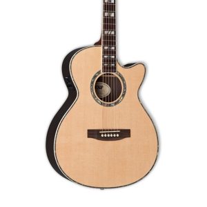 LTD-ESP-ACOUSTIC-XAC-10E-NATRULE