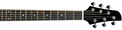 WEDGWOOD-CTY-10E-GUITARCITY-ZCOUSTIC