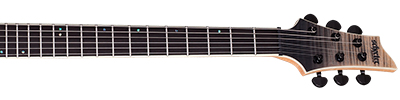 ELECTRIC-GUITARCITY-SCHECTER-C1-SLS-ELITE